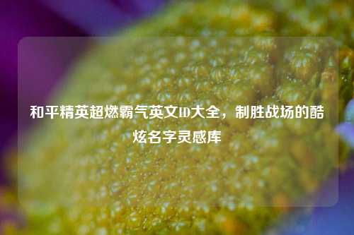 和平精英超燃霸气英文ID大全，制胜战场的酷炫名字灵感库