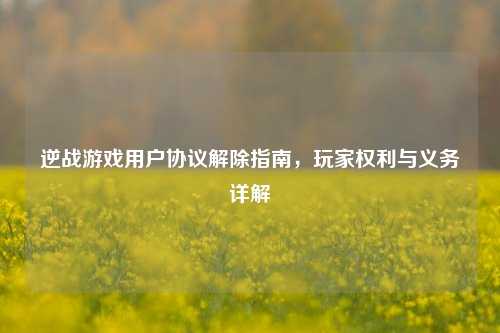 逆战游戏用户协议解除指南,玩家权利与义务详解