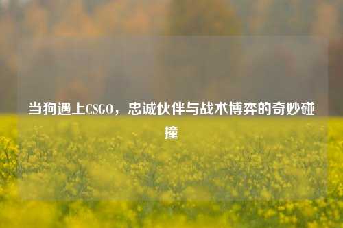 当狗遇上CSGO，忠诚伙伴与战术博弈的奇妙碰撞