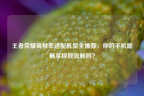 王者荣耀高帧率适配机型全推荐，你的手机能畅享极致流畅吗？