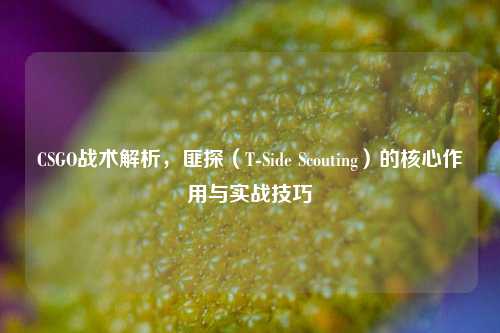 CSGO战术解析，匪探（T-Side Scouting）的核心作用与实战技巧