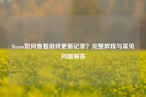 Steam如何查看游戏更新记录？完整教程与常见问题解答