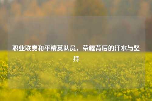 职业联赛和平精英队员，荣耀背后的汗水与坚持