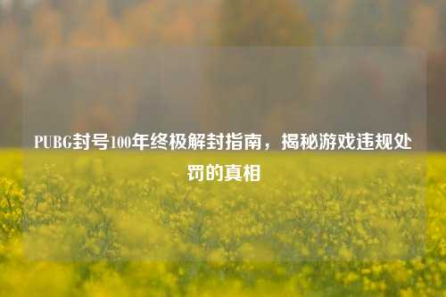 PUBG封号100年终极解封指南，揭秘游戏违规处罚的真相
