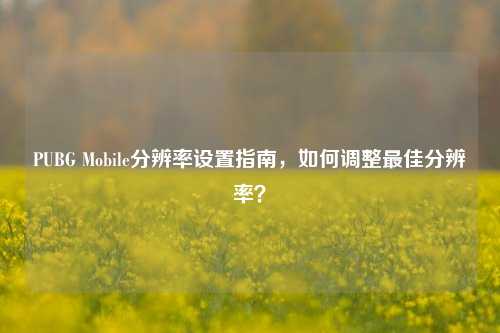 PUBG Mobile分辨率设置指南，如何调整更佳分辨率？