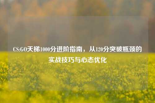 CS:GO天梯1000分进阶指南，从120分突破瓶颈的实战技巧与心态优化