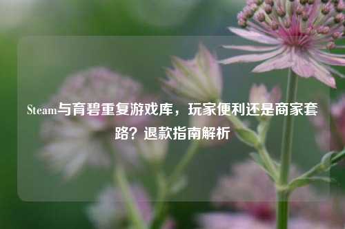 Steam与育碧重复游戏库，玩家便利还是商家套路？退款指南解析