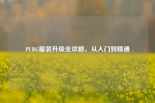 PUBG服装升级全攻略,从入门到精通