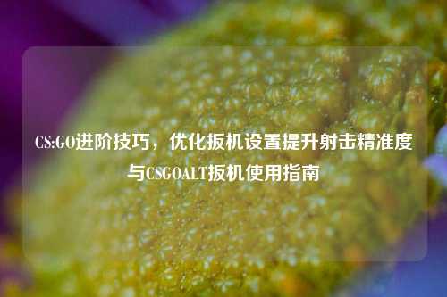 CS:GO进阶技巧,优化扳机设置提升射击精准度与CSGOALT扳机使用指南