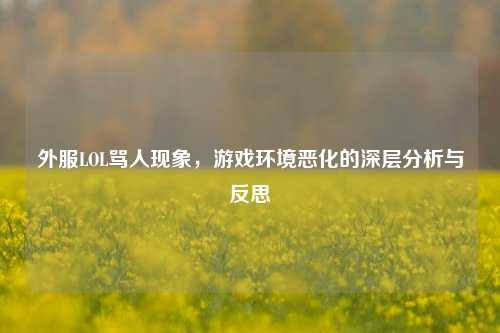 外服LOL骂人现象,游戏环境恶化的深层分析与反思