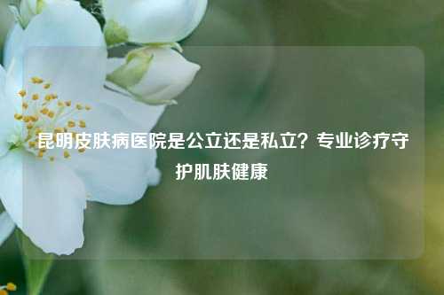 昆明皮肤病医院是公立还是私立?专业诊疗守护肌肤健康