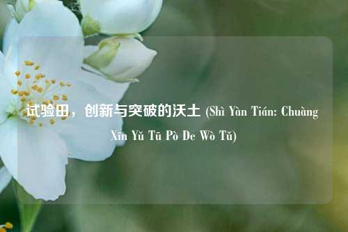 试验田,创新与突破的沃土 (Shì Yàn Tián: Chuàng Xīn Yǔ Tū Pò De Wò Tǔ)