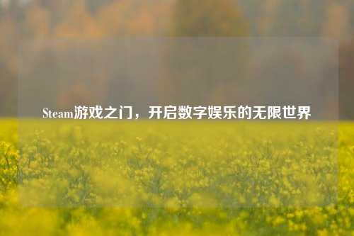 Steam游戏之门,开启数字娱乐的无限世界