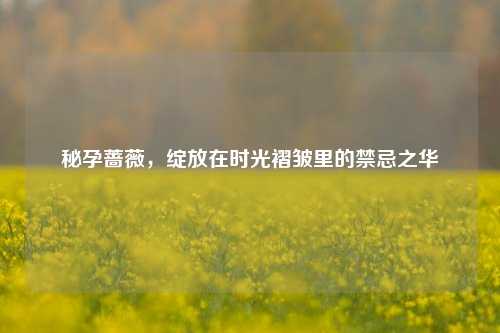 秘孕蔷薇,绽放在时光褶皱里的禁忌之华