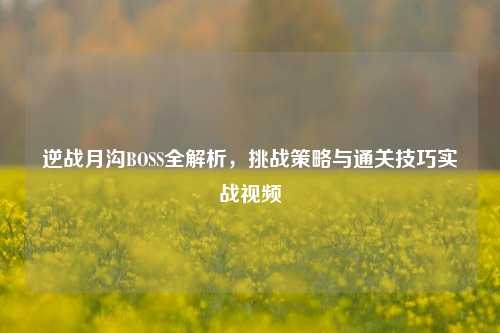 逆战月沟BOSS全解析,挑战策略与通关技巧实战视频