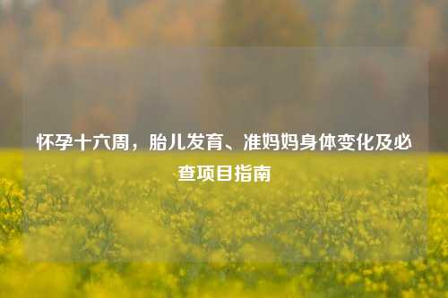 怀孕十六周,胎儿发育、准妈妈身体变化及必查项目指南