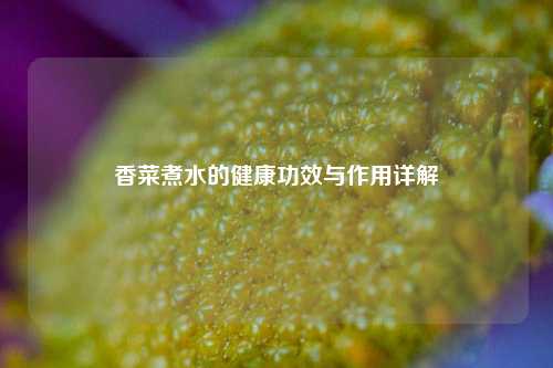 香菜煮水的健康功效与作用详解