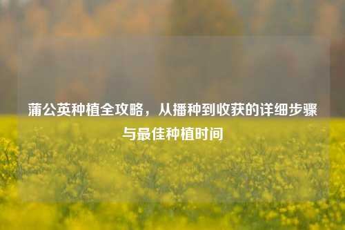 蒲公英种植全攻略,从播种到收获的详细步骤与更佳种植时间