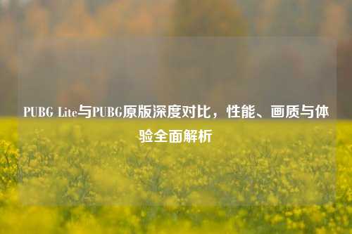 PUBG Lite与PUBG原版深度对比,性能、画质与体验全面解析