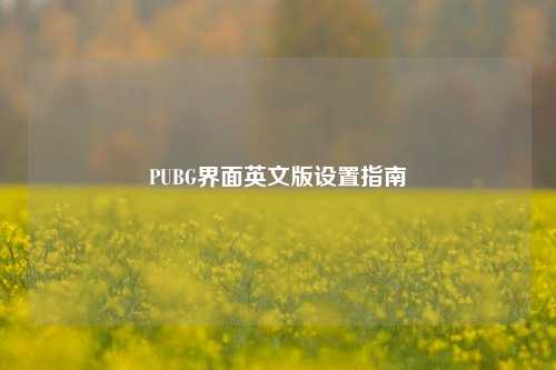 PUBG界面英文版设置指南