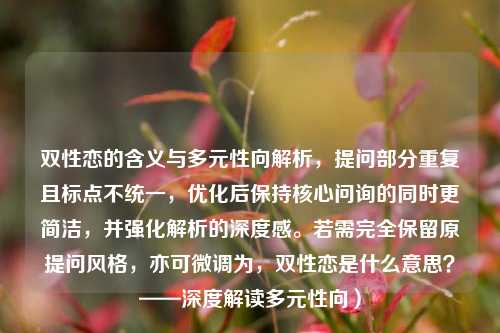 双性恋的含义与多元性向解析,提问部分重复且标点不统一,优化后保持核心问询的同时更简洁,并强化解析的深度感。若需完全保留原提问风格,亦可微调为,双性恋是什么意思?——深度解读多元性向)