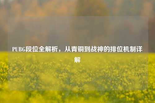 PUBG段位全解析，从青铜到战神的排位机制详解