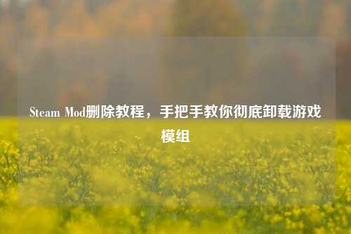 Steam Mod删除教程,手把手教你彻底卸载游戏模组