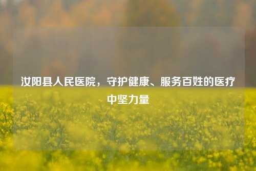 汝阳县人民医院,守护健康、服务百姓的医疗中坚力量