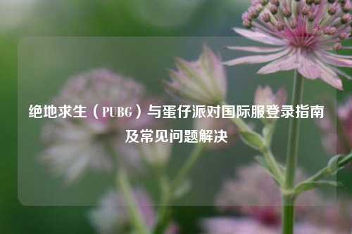 绝地求生（PUBG）与蛋仔派对国际服登录指南及常见问题解决