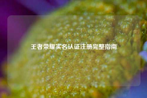 王者荣耀实名认证注册完整指南