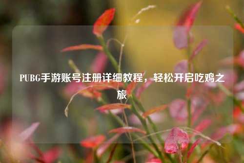 PUBG手游账号注册详细教程，轻松开启吃鸡之旅