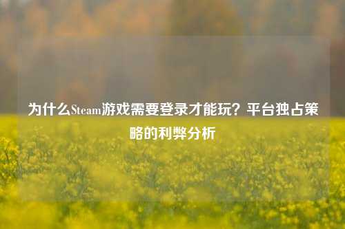 为什么Steam游戏需要登录才能玩？平     占策略的利弊分析