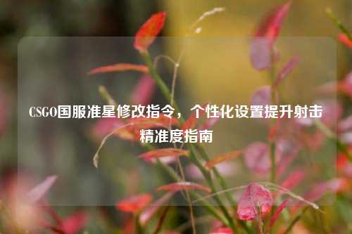 CSGO国服准星修改指令，个性化设置提升射击精准度指南