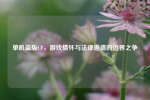 单机盗版CF，游戏情怀与法律道德的边界之争