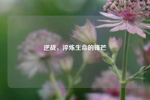 逆战，淬炼生命的锋芒