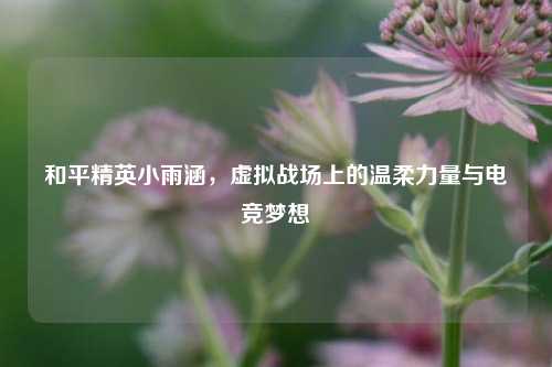 和平精英小雨涵，虚拟战场上的温柔力量与电竞梦想