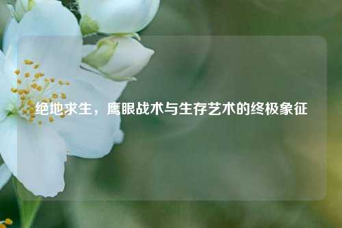 绝地求生，鹰眼战术与生存艺术的终极象征