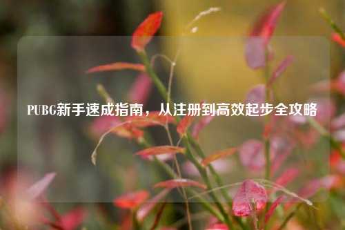 PUBG新手速成指南，从注册到高效起步全攻略