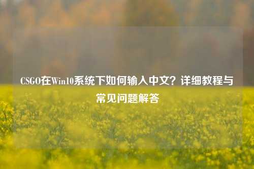 CSGO在Win10系统下如何输入中文？详细教程与常见问题解答