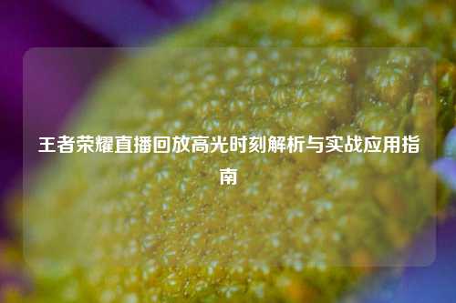 王者荣耀直播回放高光时刻解析与实战应用指南