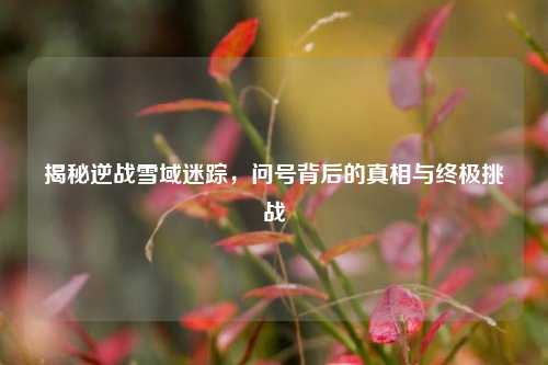 揭秘逆战雪域迷踪，问号背后的真相与终极挑战