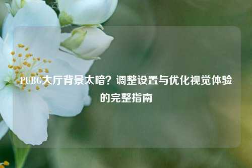 PUBG大厅背景太暗？调整设置与优化视觉体验的完整指南