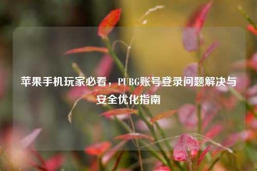 苹果手机玩家必看，PUBG账号登录问题解决与安全优化指南
