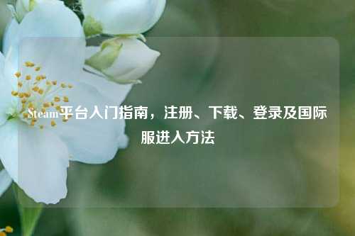 Steam平台入门指南，注册、下载、登录及国际服进入     