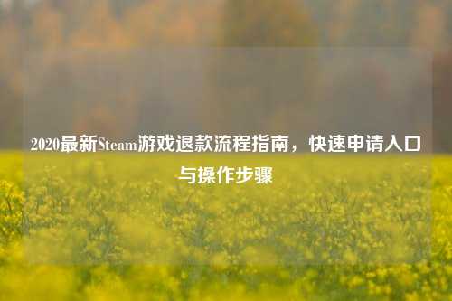 2020最新Steam游戏退款流程指南，快速申请入口与操作步骤