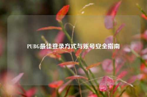 PUBG更佳登录方式与账号安全指南