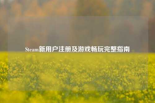 Steam新用户注册及游戏畅玩完整指南