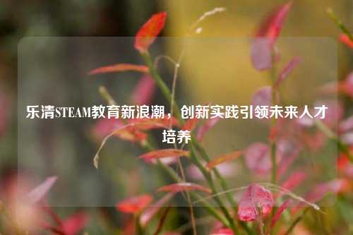 乐清STEAM教育新浪潮,创新实践引领未来人才培养