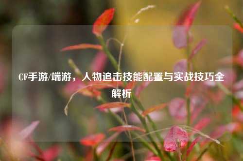 CF手游/端游,人物追击技能配置与实战技巧全解析