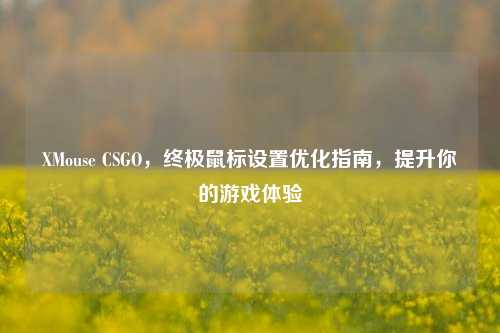 XMouse CSGO,终极鼠标设置优化指南,提升你的游戏体验